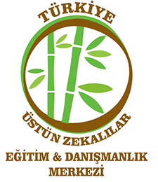 Üstün Zekalılar